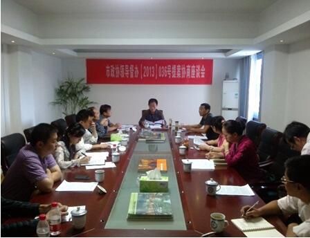 市政協(xié)現場督辦古鎮(zhèn)公司老街區(qū)保護利用項目