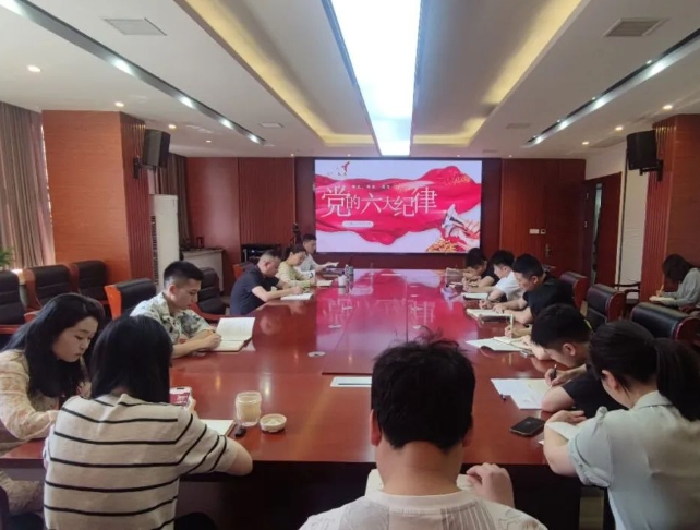 恪守“六大紀律”，筑牢思想根基--市古鎮(zhèn)投資公司行政黨支部組織開展黨記學(xué)習教育專題黨課
